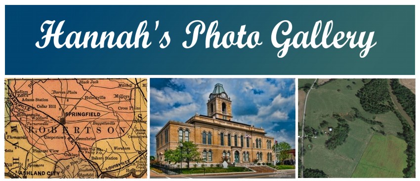 Hannah's Photo Gallery